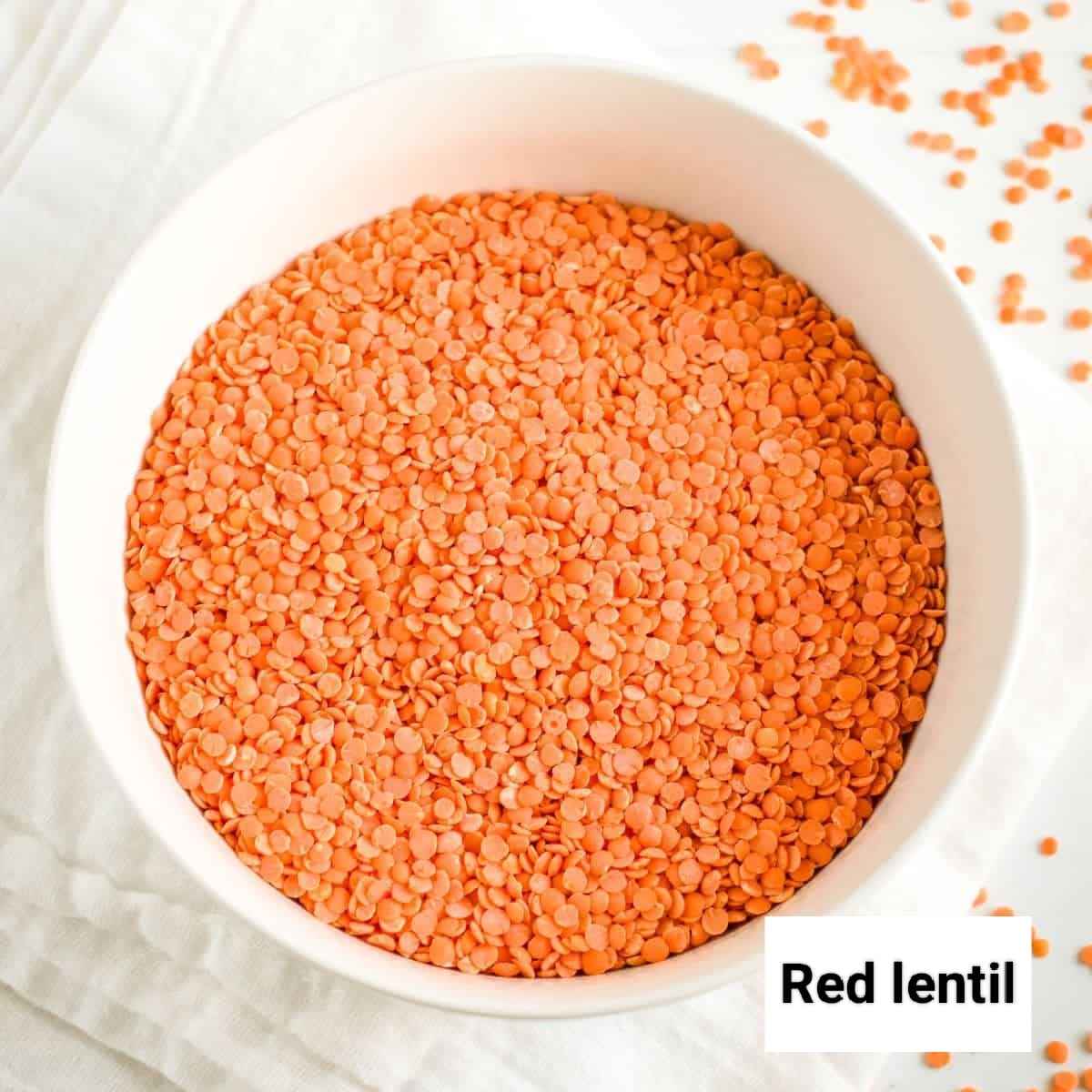 Seed